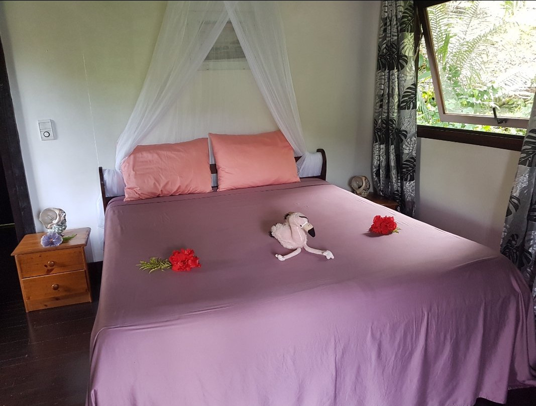 塔哈岛酒店住宿-Pension Hibiscus Taha'a