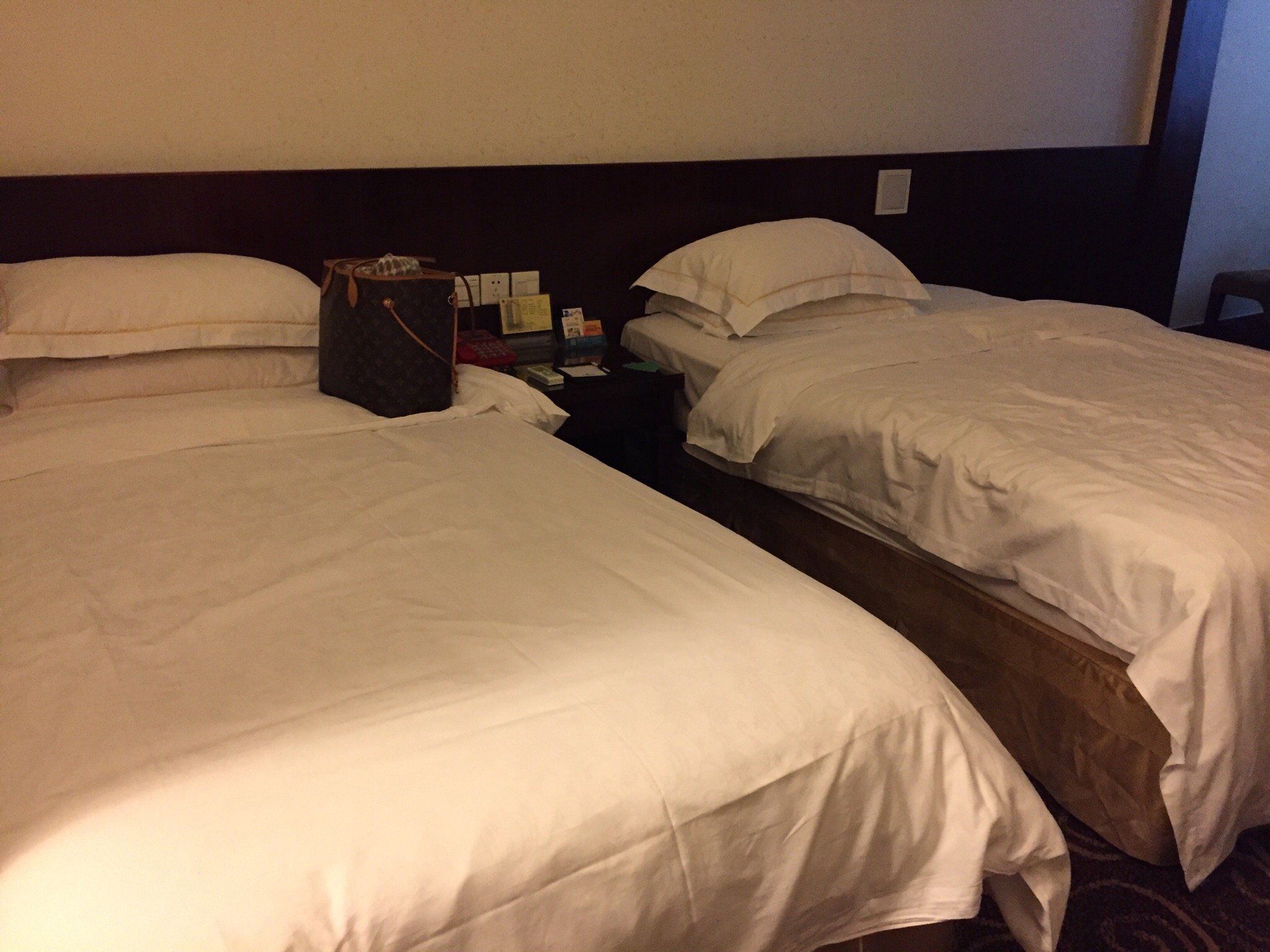 东辰大酒店-官方