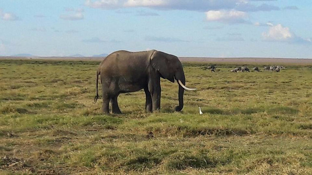 Kichaka Tours And Travel-内罗毕必去景点