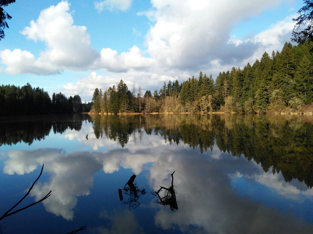 Camas旅游攻略图片