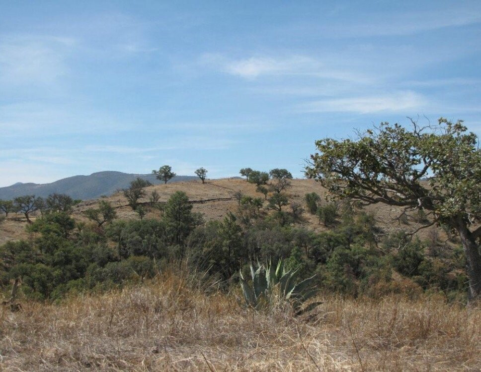 Huapoca Canyon-科波坎农必去景点