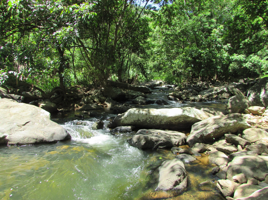 Cachoeira do Meio景点图片