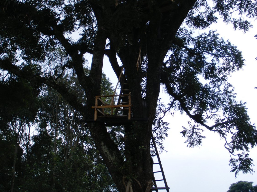 Parque Ecocenter景点图片