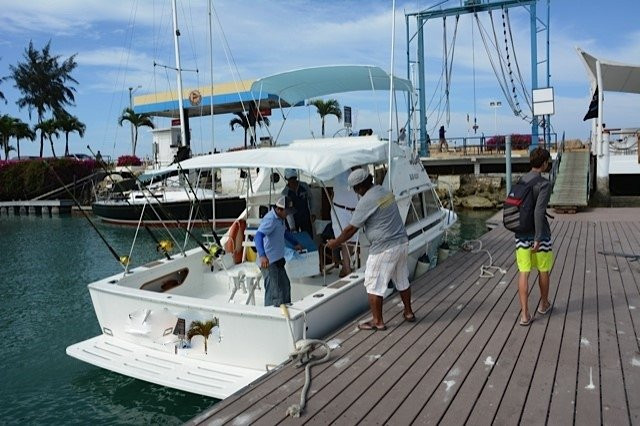 Bluemarlin Fishing Charters景点图片
