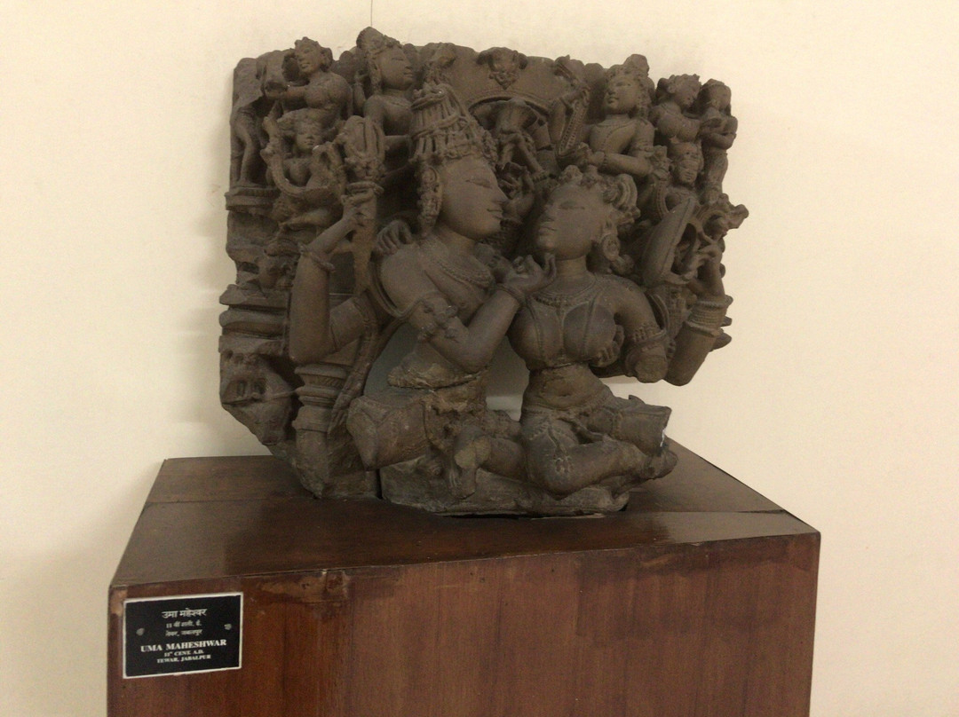 Rani Durgavati Museum-贾巴尔普尔必去景点