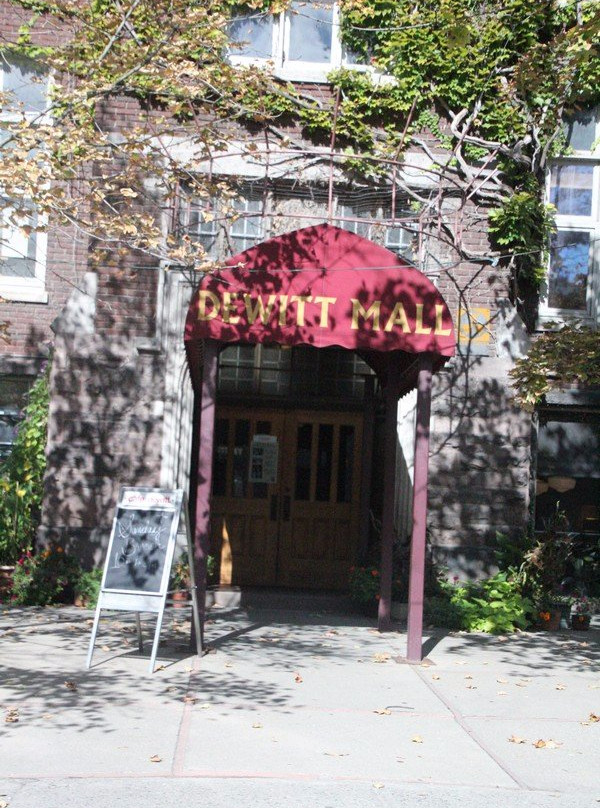 The Dewitt Mall景点图片