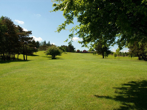 Ennis Golf Club-恩尼斯必去景点