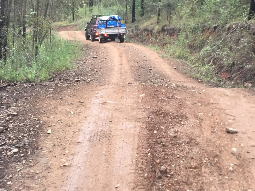 Nymboida National Park-Nymboida必去景点