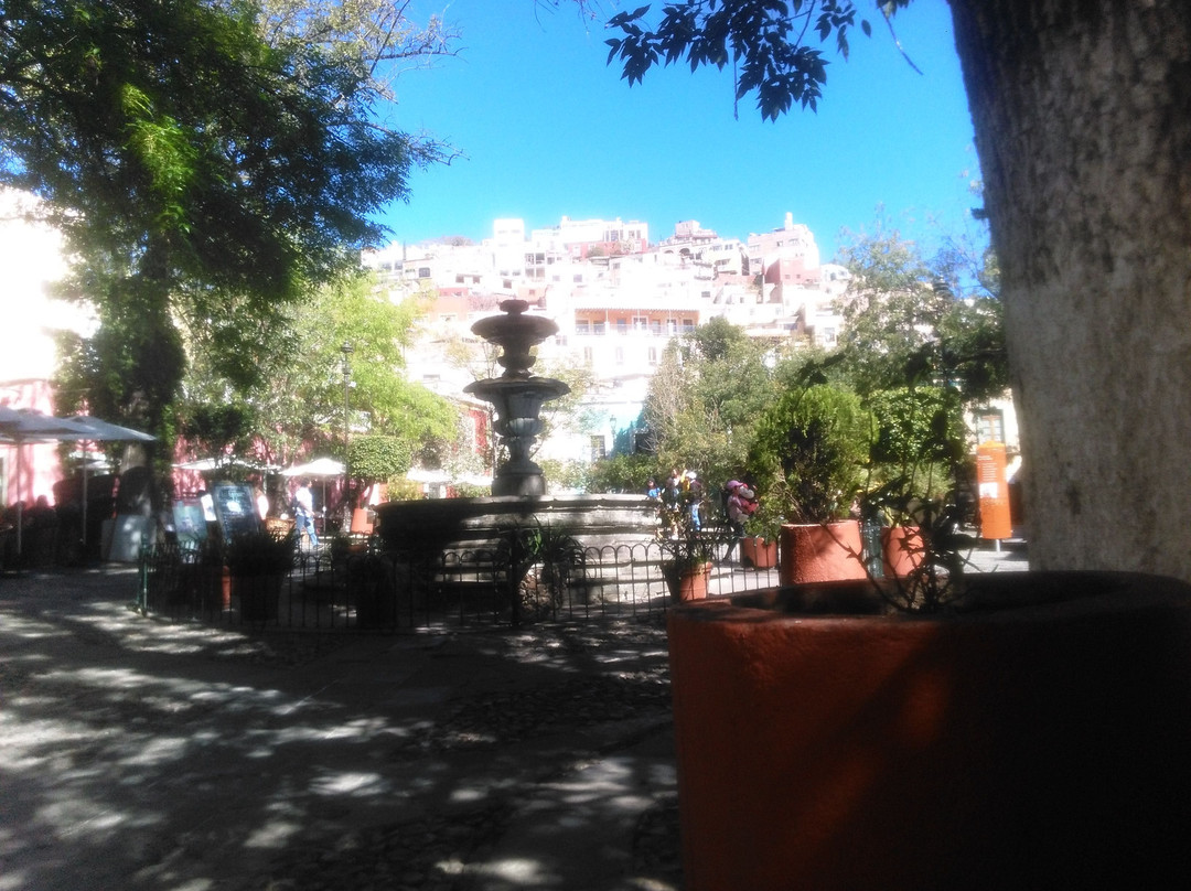 Plaza de San Fernando景点图片