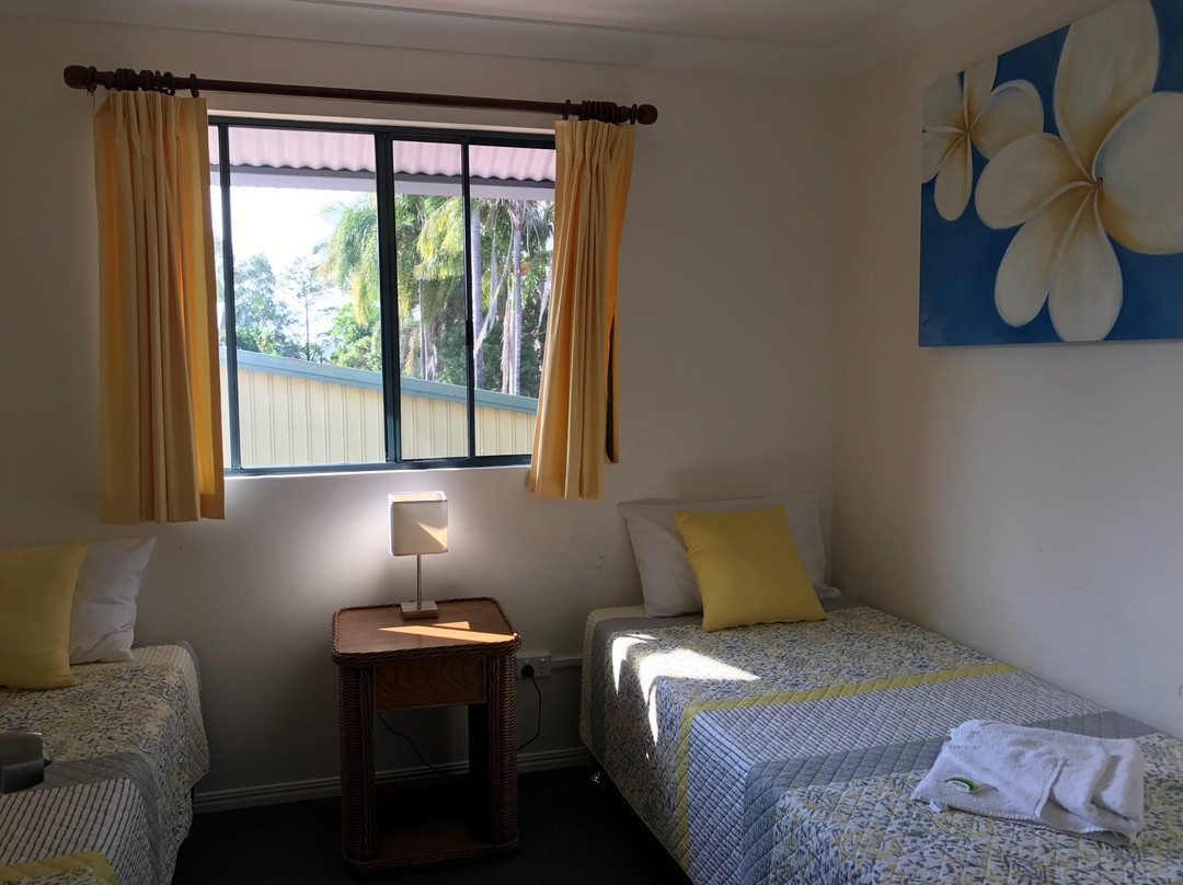 Dolphin Waters主图