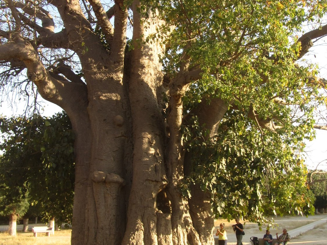 Mariam Dearit Shrine-Keren必去景点