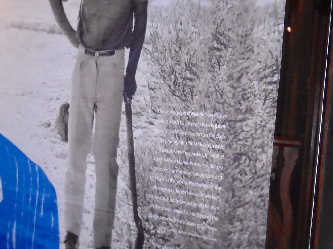 Gold of Africa Museum-开普敦中心区必去景点