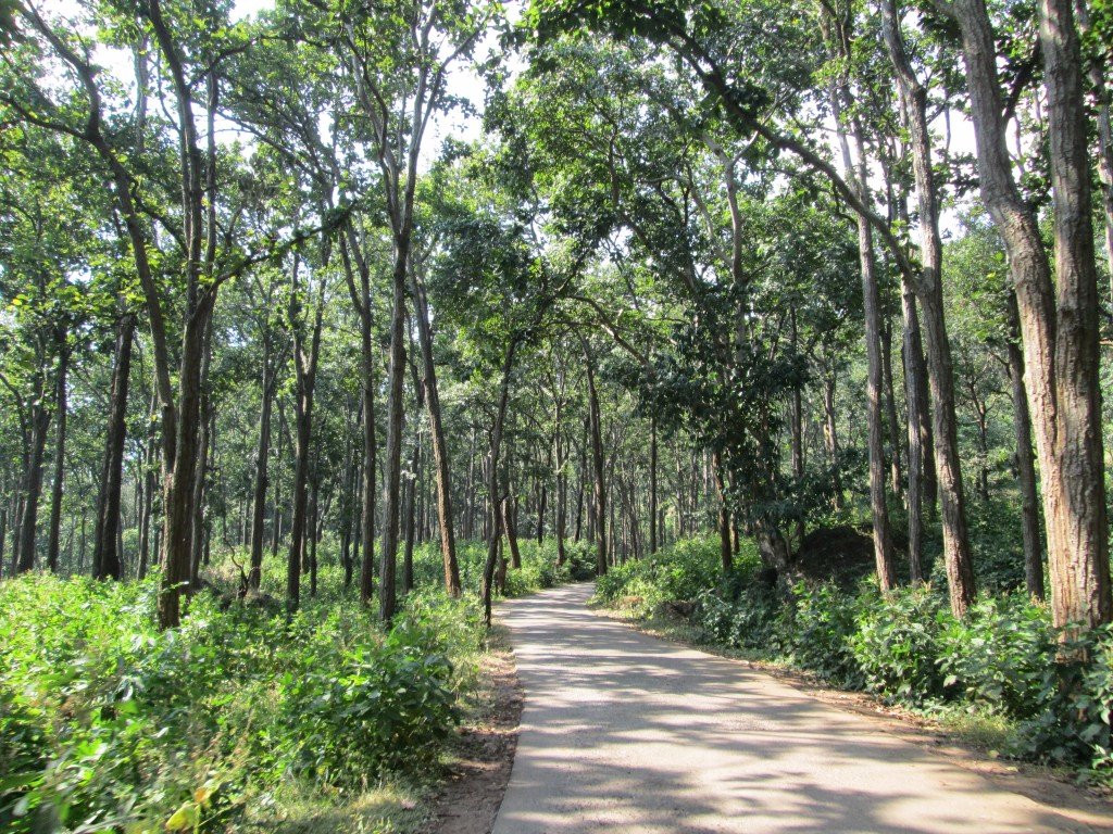 Son Udgam Temple-Amarkantak必去景点
