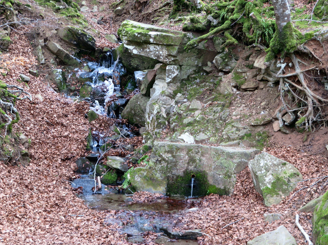Lago della Gorga Nera景点图片