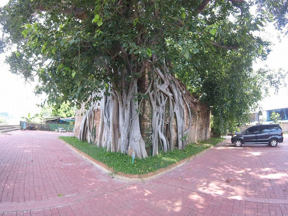 Wat Sai-因武里必去景点