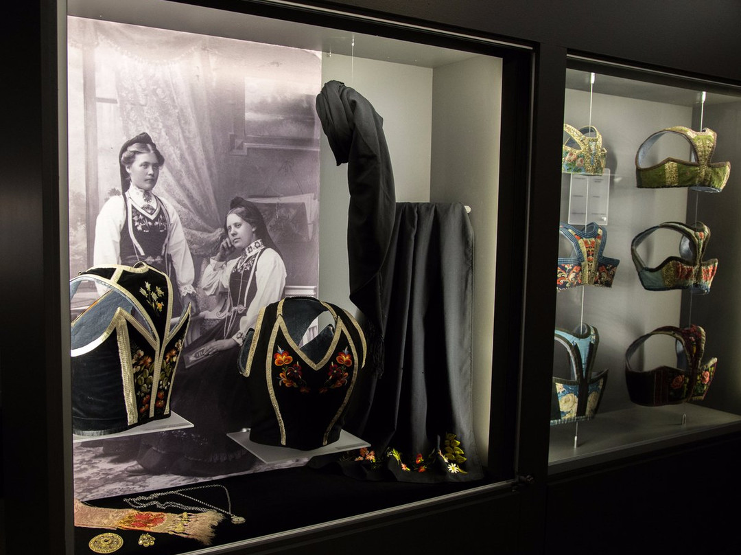 Vest-telemark Museum Eidsborg-Hoydalsmo必去景点