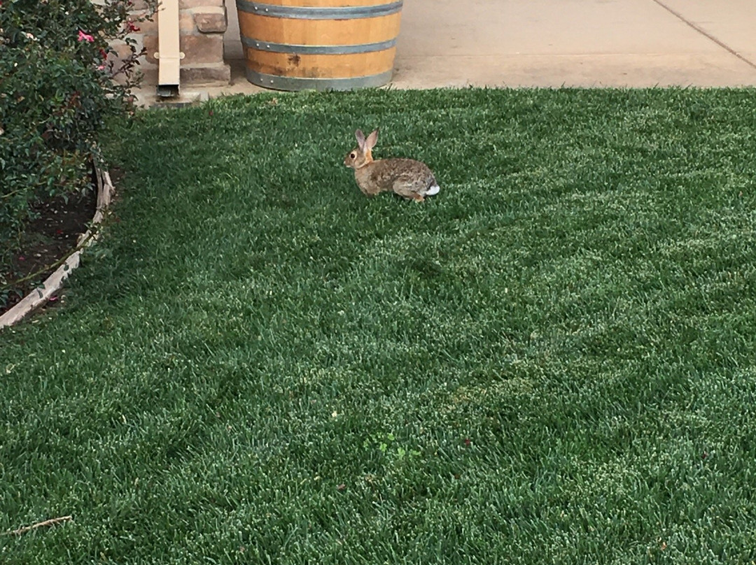 Hannah Nicole Vineyards-Brentwood必去景点