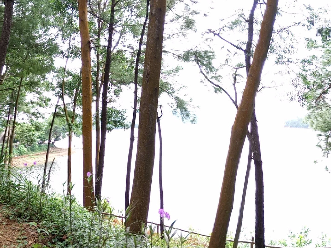 Phu Ninh Lake-Tam Ky必去景点