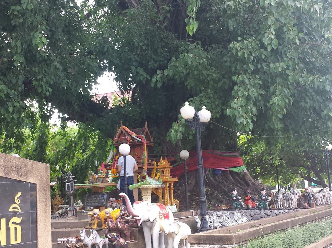 Si Maha Pho Tree景点图片