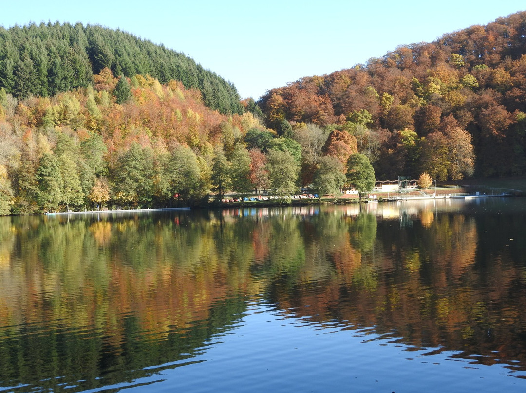 Daun旅游攻略图片