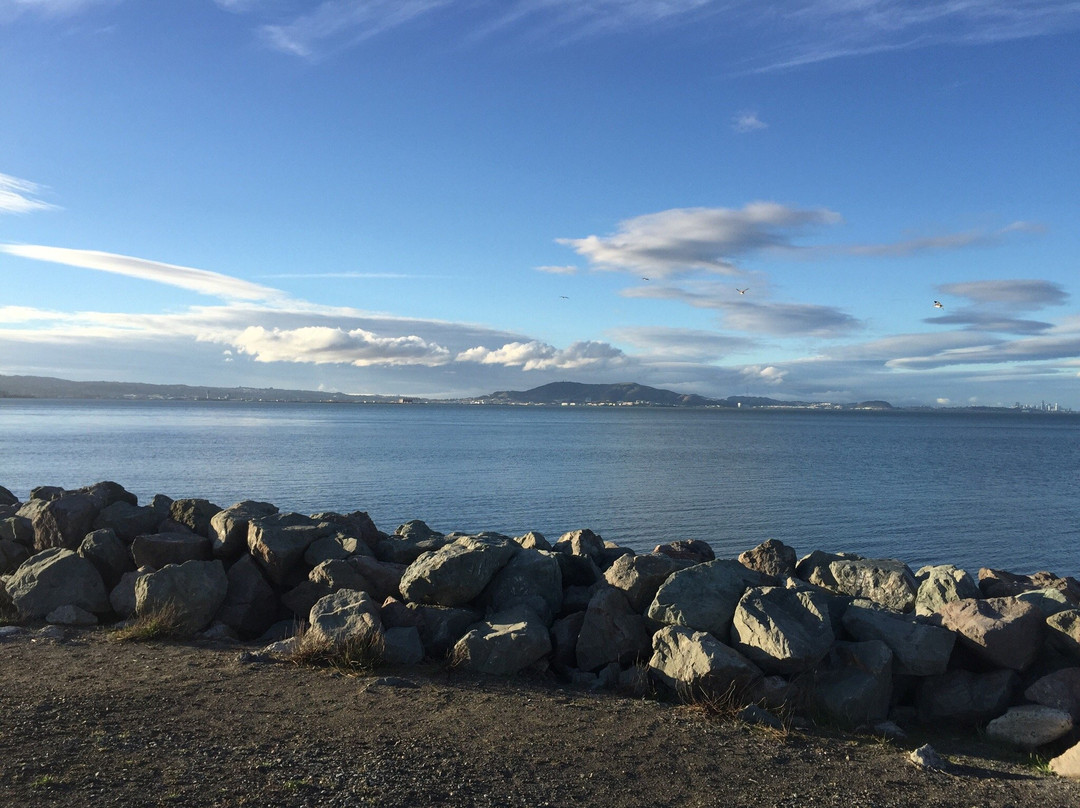 Coyote Point Recreation Area-圣马特奥必去景点