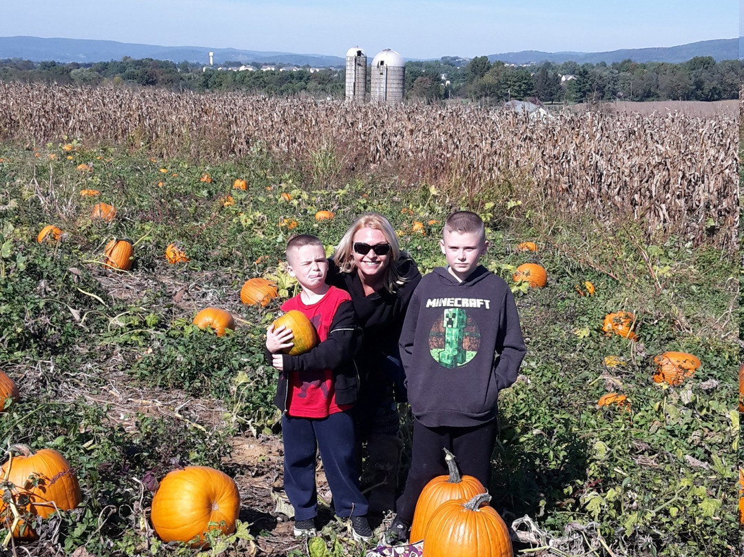 Jumbo's Pumpkin Patch-Middletown必去景点