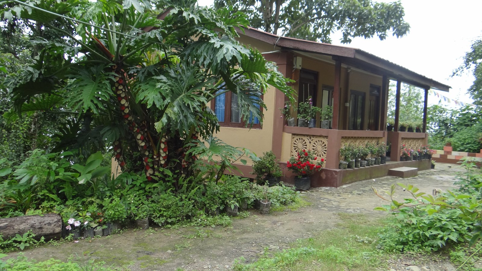 Humro Home Deolo-官方