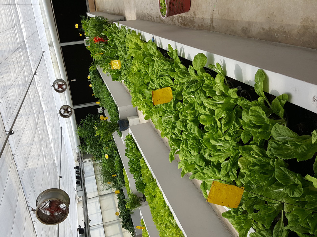 Agro Technology Park-斯里巴加湾必去景点