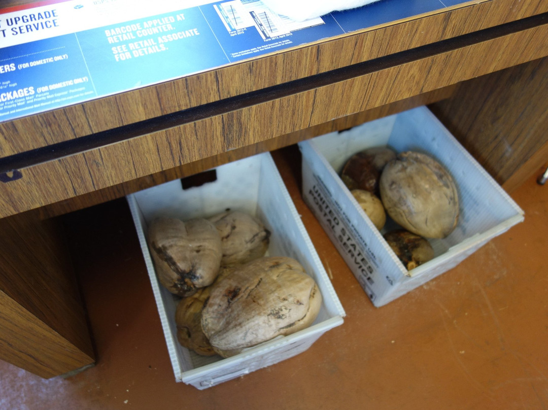 Post-A-Nut, Hoolehua Post Office-摩洛凯岛必去景点