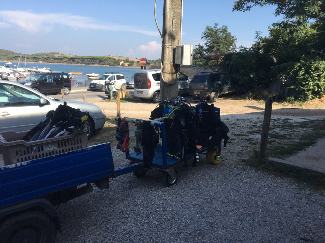 Baratti Diving景点图片