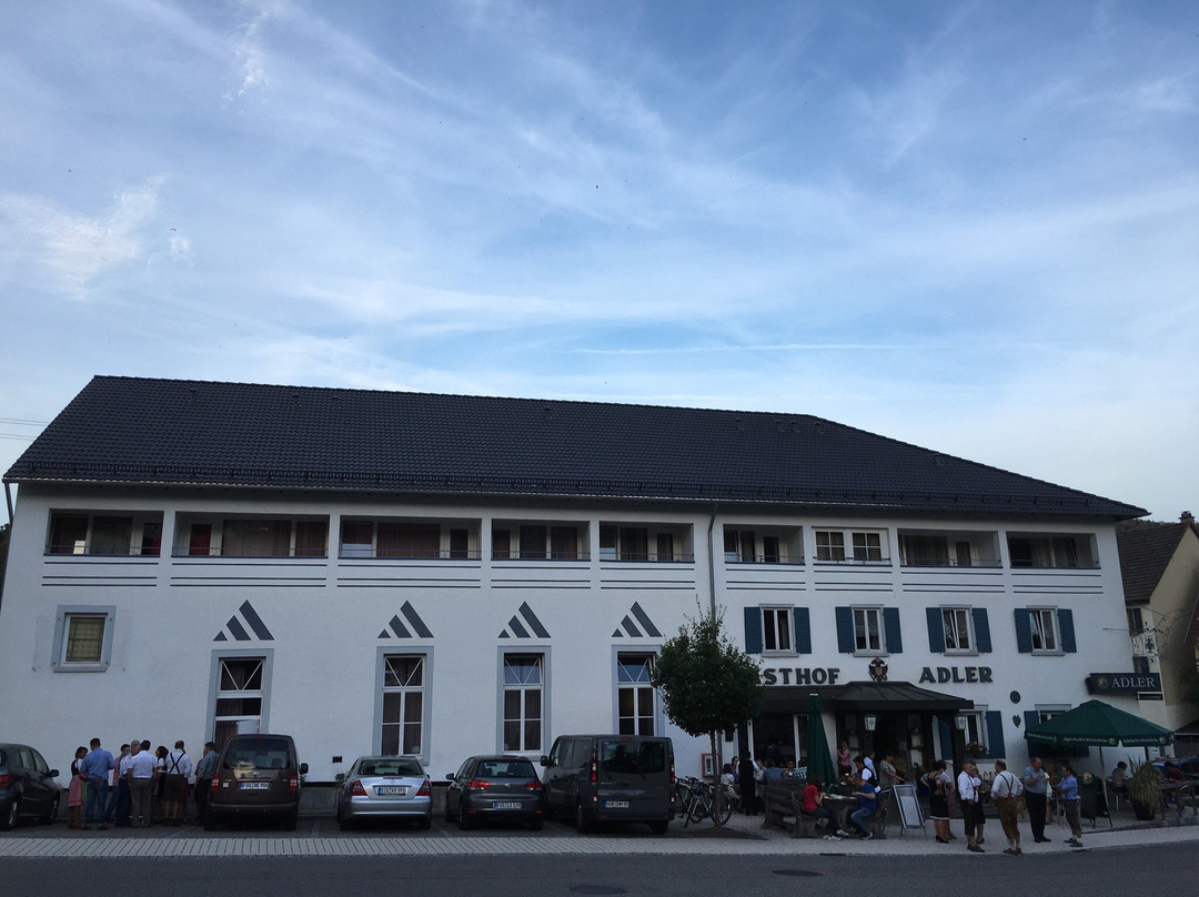 阿德勒哥斯富旅馆