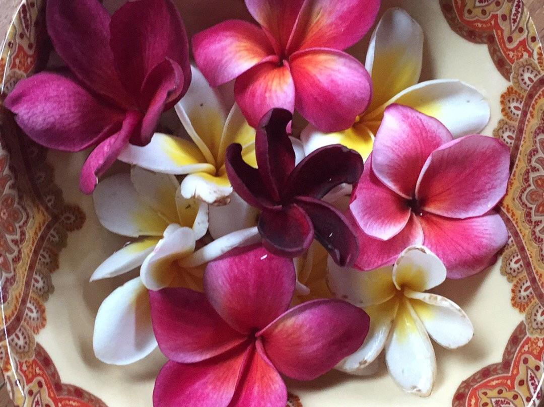 Le Grand Bleu Spa-克罗柏坎必去景点