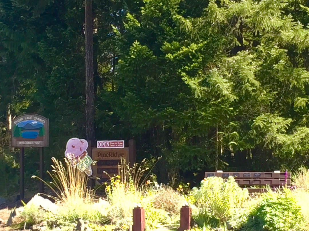 PineRidge RV Park and Farm Market-魁利克姆海滩必去景点