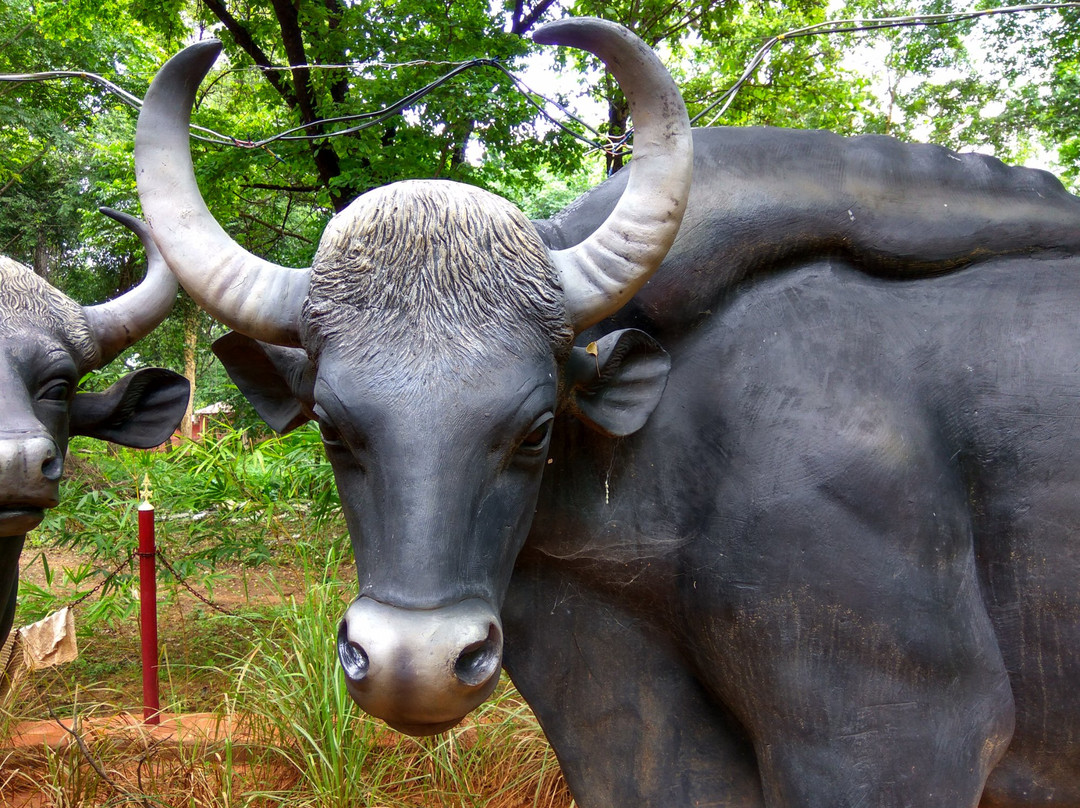 Eturnagaram Wildlife Sanctuary景点图片