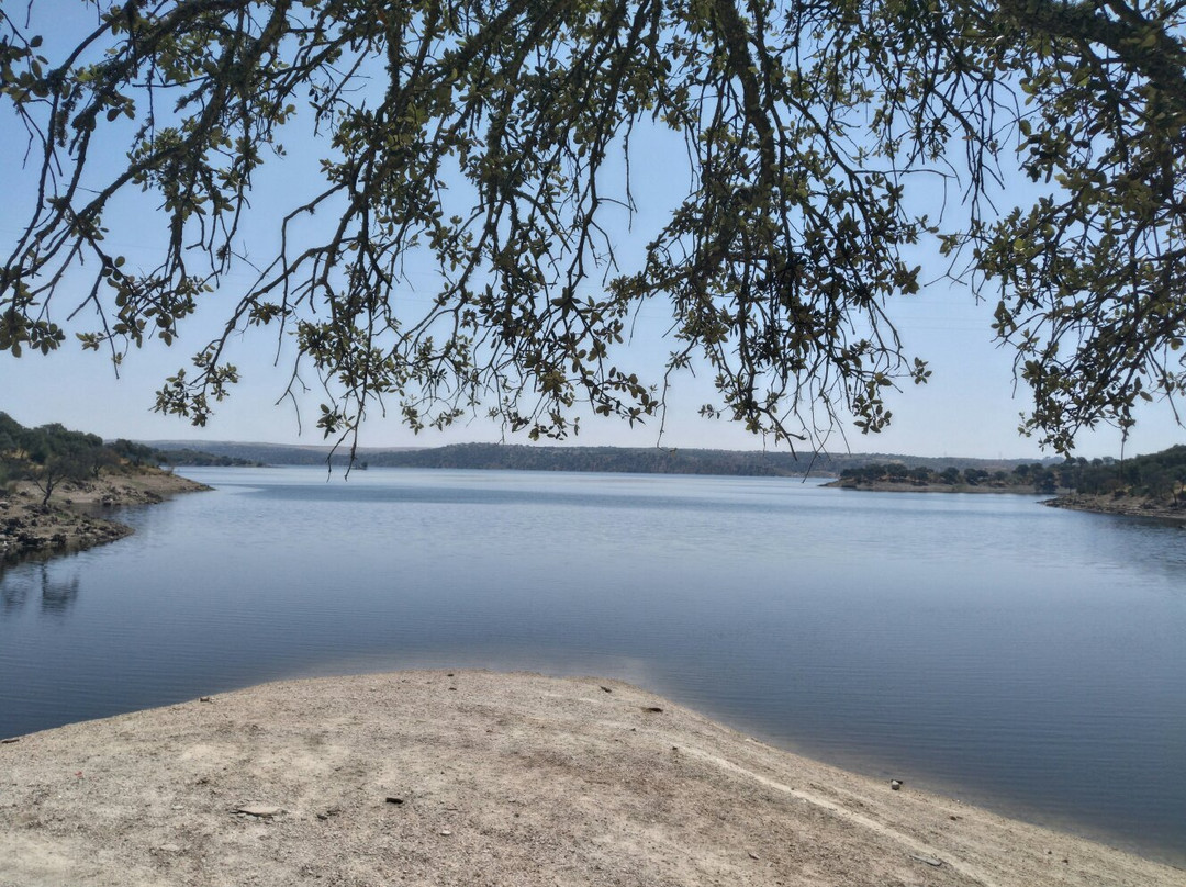 El Parque Natural Tajo Internacional景点图片