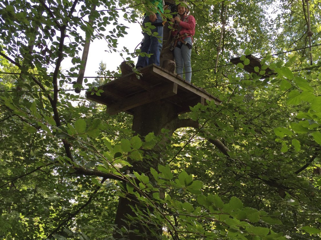 Waldseilgarten Herrenberg景点图片
