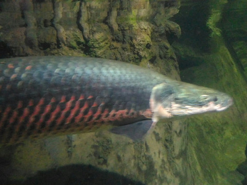 南京海底世界-南京市必去景点