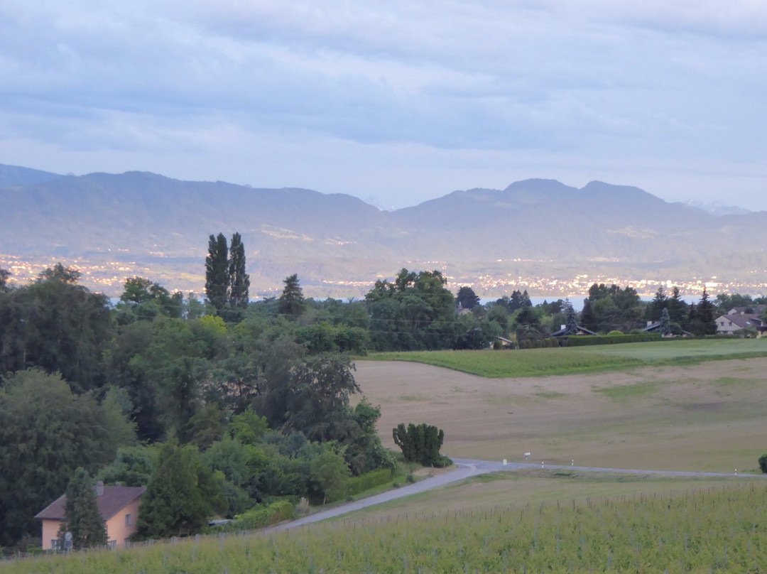 Château de Vufflens-Vufflens-le-Château必去景点