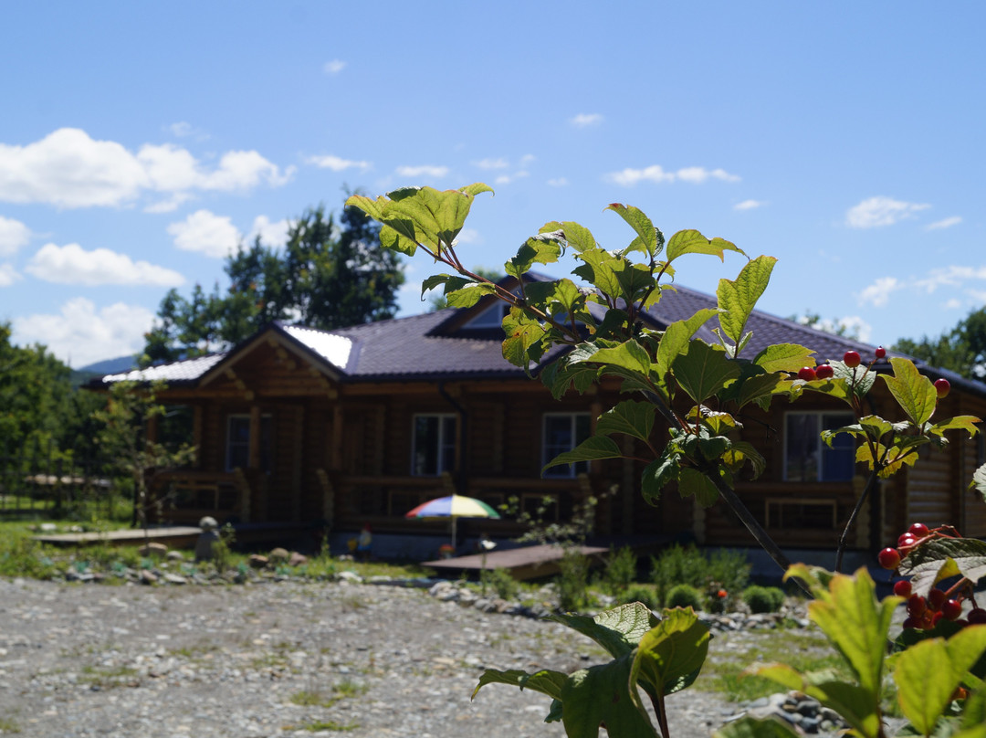 Guest house Kalinka