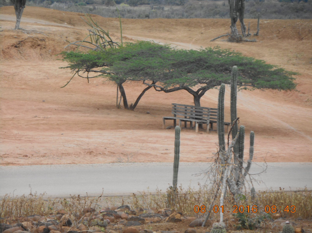 Astronomical Observatory Tatacoa-Villavieja必去景点