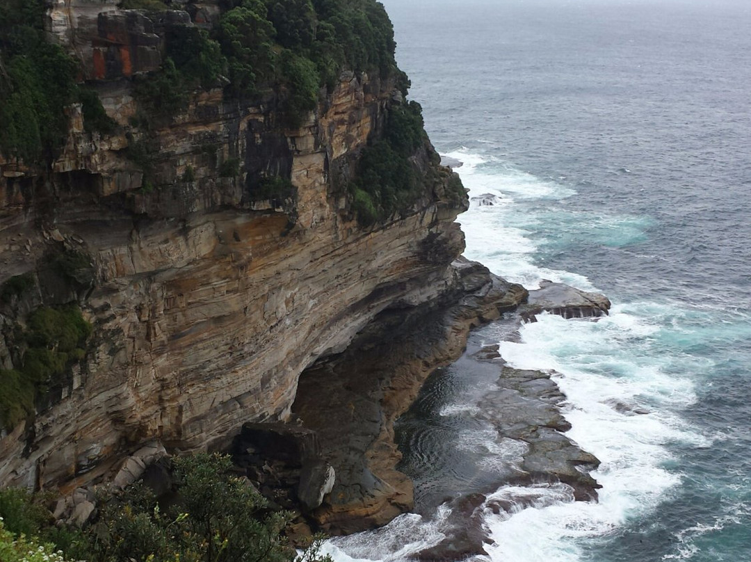The Federation Cliff Walk景点图片