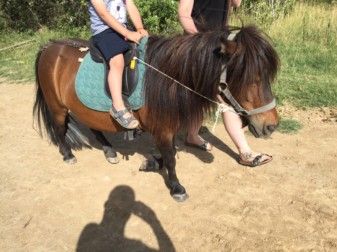Le Cheval Andalou景点图片