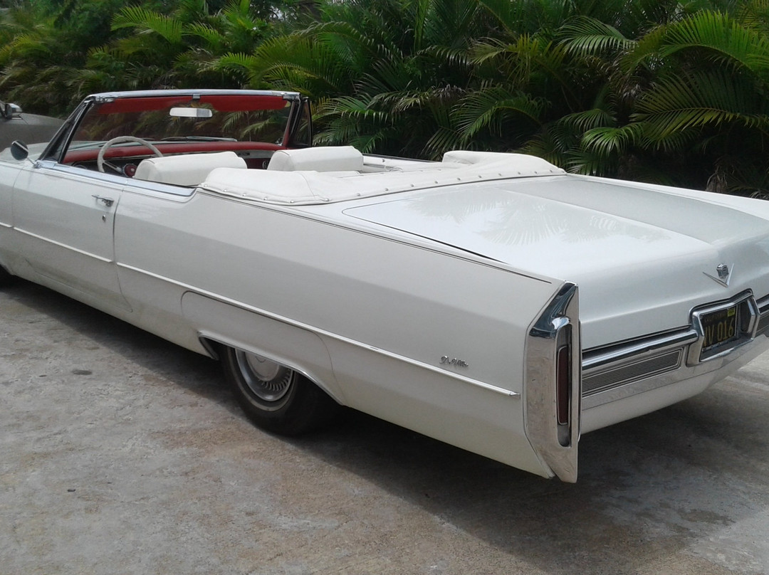 Classic Car Showroom & Jewelry Boutique景点图片