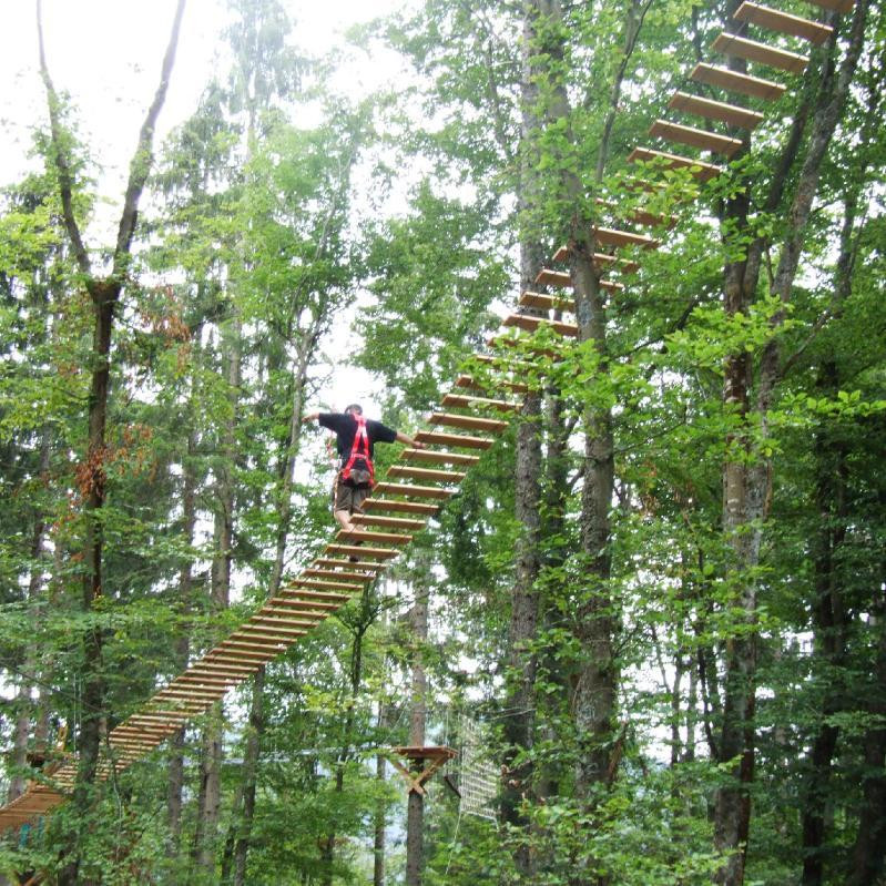 Action Forest Kletterwald景点图片