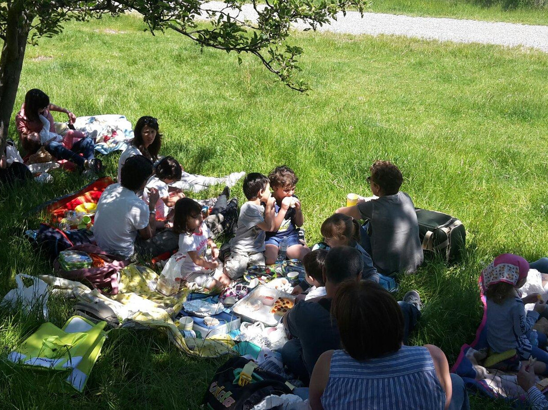 Fattoria L'aurora景点图片
