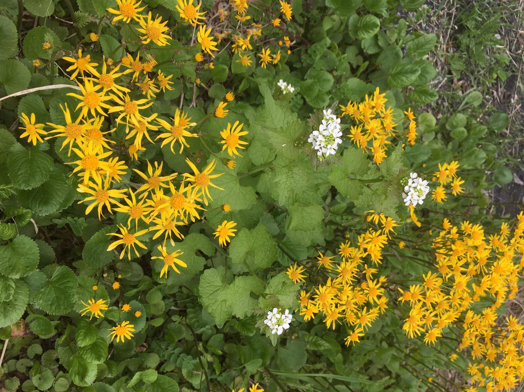 Lehigh Gap Nature Center景点图片