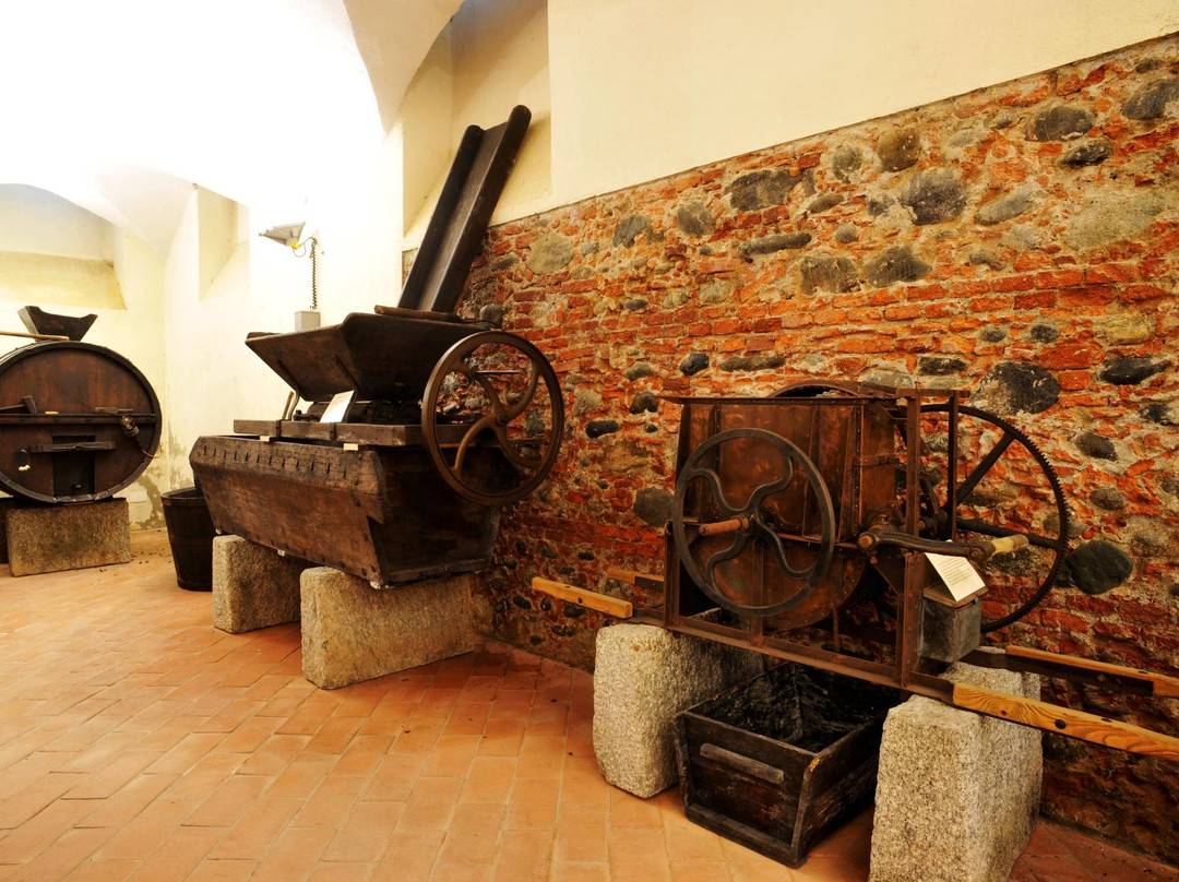 Museo Storico Etnografico della Bassa Valsesia-Romagnano Sesia必去景点