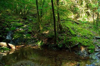 Mt. Imanoyama-三原村必去景点