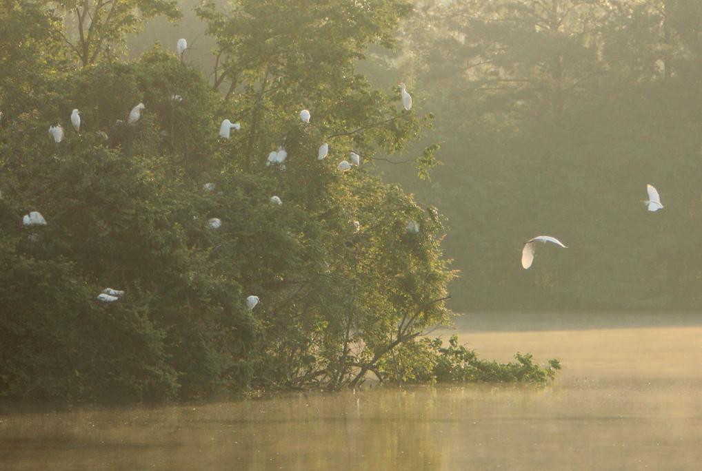 Bogue Chitto National Wildlife Refuge景点图片