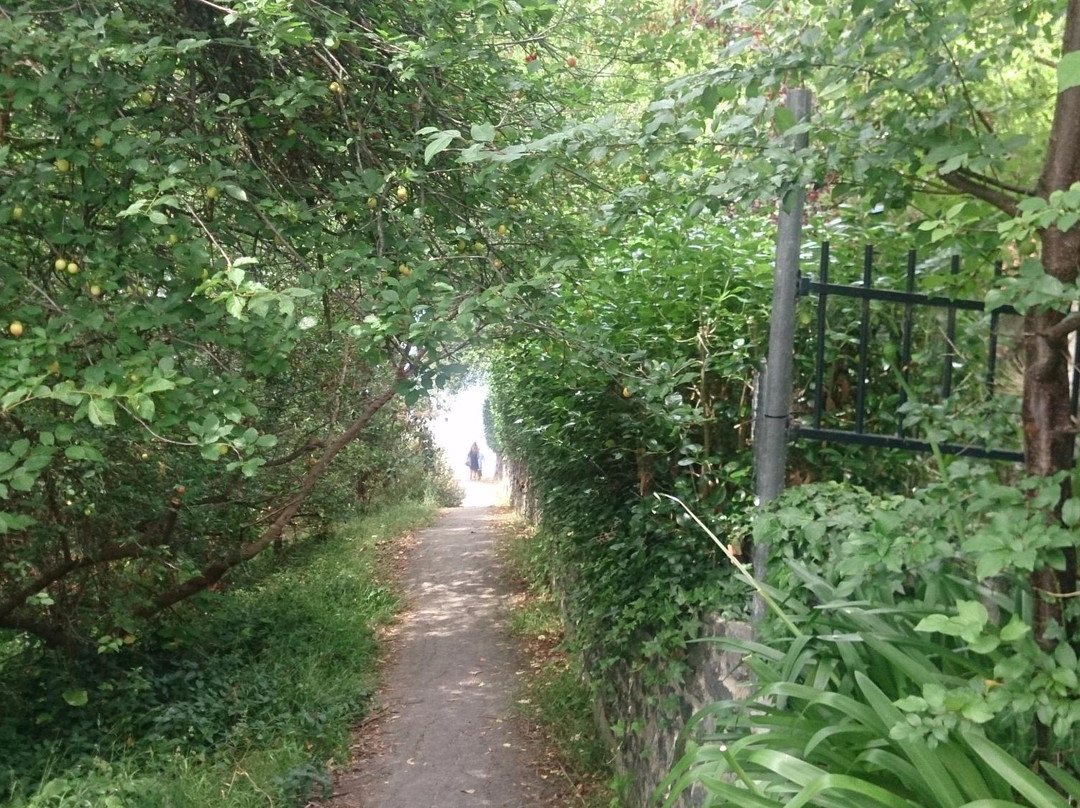 Hinsby Beach景点图片